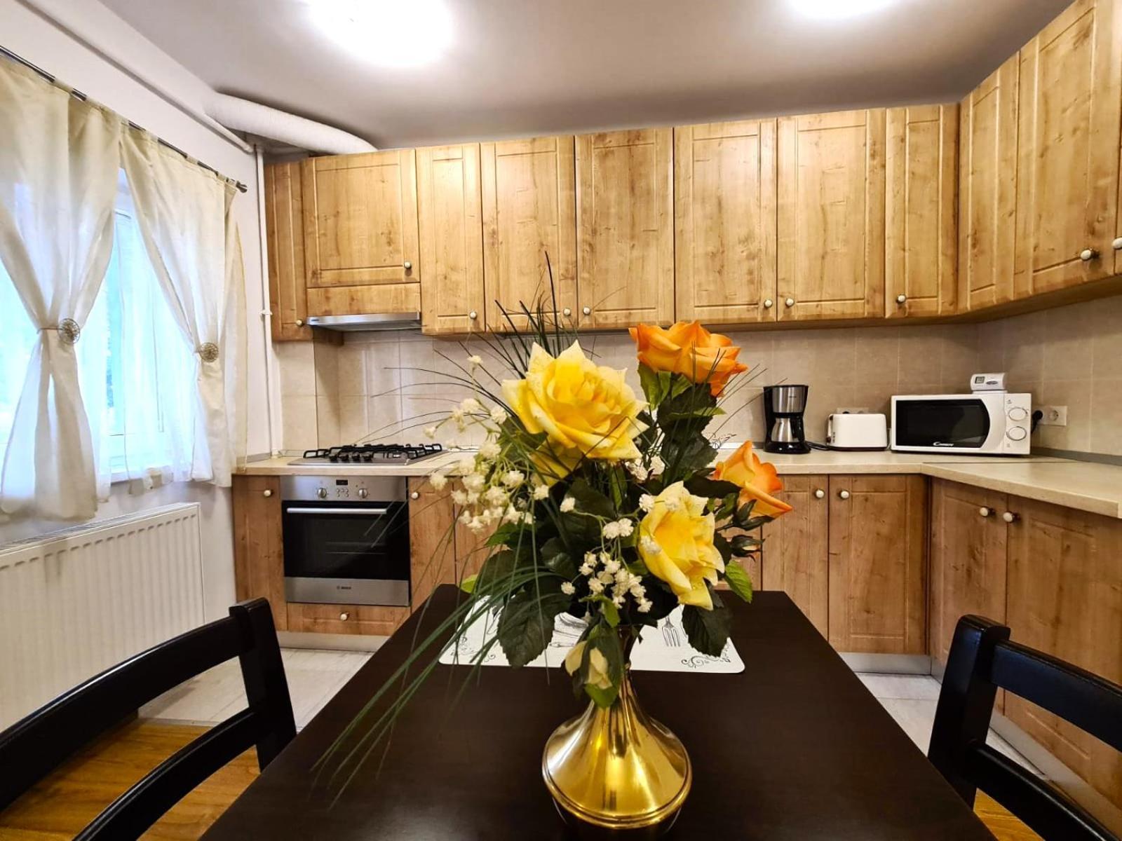 Apartament Giulio Сибиу Екстериор снимка